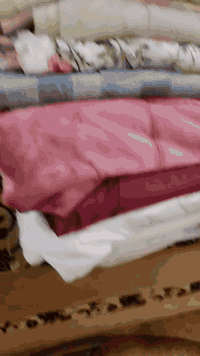 بداية حي صدام • تراكات • أطفال ٦-١٥س