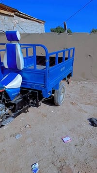 ستوته مديل 2021ستوته نفس ال بصوره نضيفه أسعر 2100 اوراق وكيله إجنابي و...