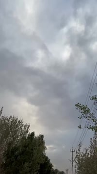 كورلا خليجي • ٢٠٢٤ • سليمانيه