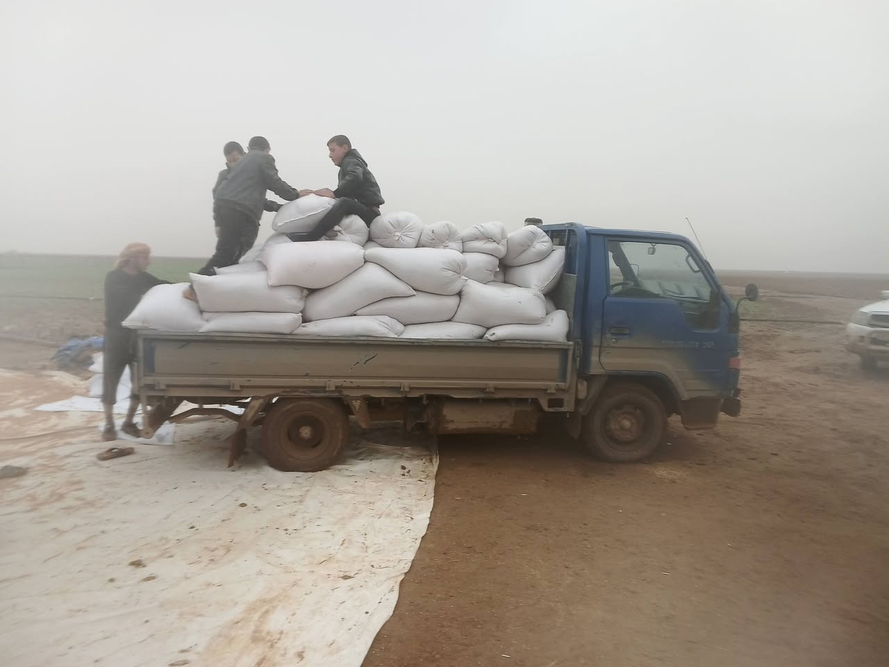 دانيه گطمه رقم أنبار دولي بسمي.. كير شرط اكسن شرط شاصي شرط.. محرك بي صرف ***********
