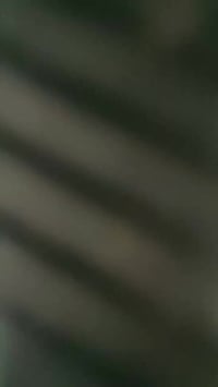 دراج  نامه شلامجة رقم و سنوية ب اسمي شاصي موديل ٢٠١٩ مكفول لحيم و عواج...