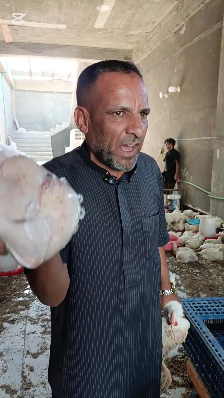 ألله يرزق امة محمد
كيلو الدجاج
ب 3000 دينار
وسعر  الصدر و الفخذ ألكيلو ب 4000
اليوم ألأحد 7/6
والله يرزق امة محمد
مجمع بركات أم البنين
العنوان التظحيه شارع ألسريع
قرب ألعلوه القديمة كلش بصفه
للحجز وألتوصيل 
الأتصال ***********
