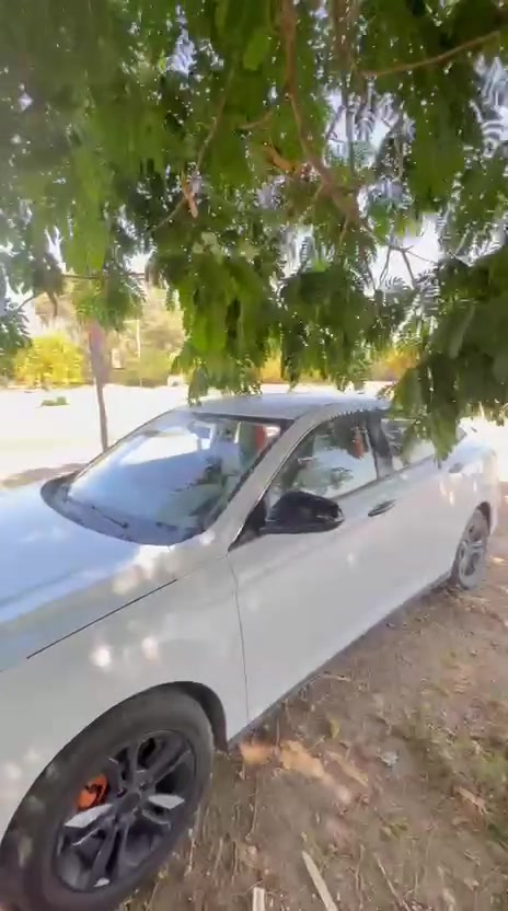 البطله a30  ...


**إذا كنت صاحب هذا الإعلان وتريد حذفه لأي سبب، رجاءا أرسل رسالة إلى الدعم الفني**