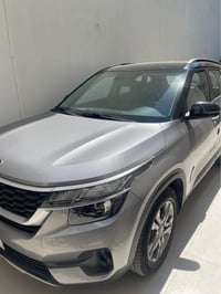 سيلتوس • ٢٠٢٠ • بدون صبغ