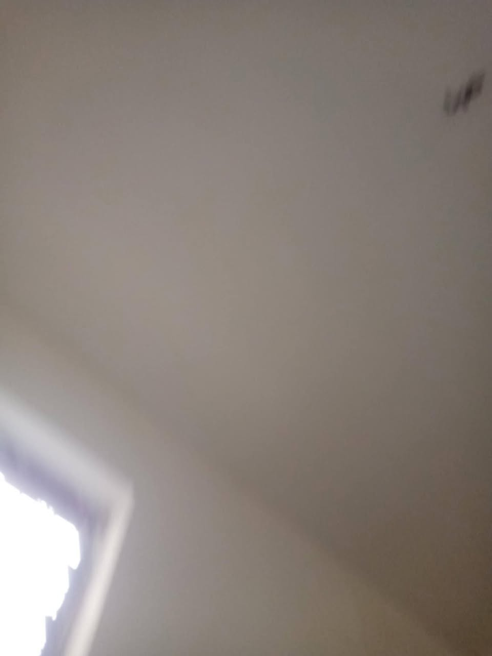 السلام عليكم متوفر كادر شغل جص بياض لبخ نعمل جميع انحاء بغداد للتواصل والاستفسار  الاتصال على الرقم التالي ***********
