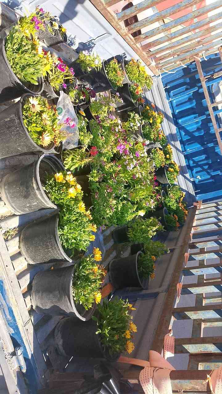 ورده ب 500 ولكبار 1000
متواجد حالين يم مجمع العسافي 
***********
