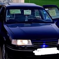 للبيع فكتره حجم 18 رقم نينوى سنوية خضره مايندل شرعي صبغ جمالي بدون ضرر...