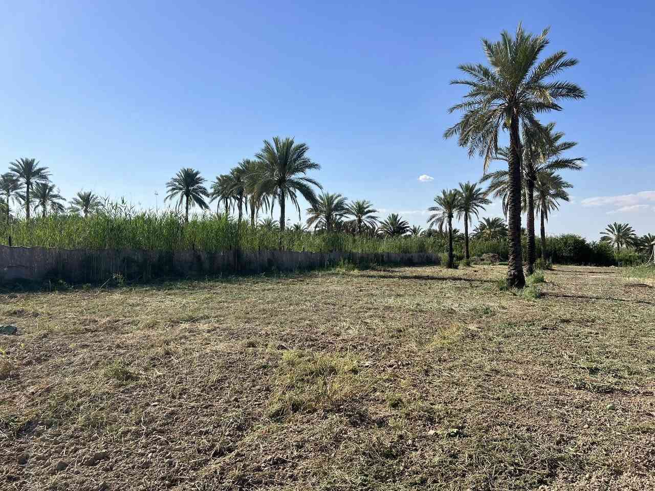 السلام عليكم
دونم للبيع طابو باسمي واجهه 27 متر قرب جسر الصويره ( باللوفه مال جسر ) يبعد عن الشارع العام 100 متر تقريبا متوفره بي خدمات 
للاستفسار ***********
