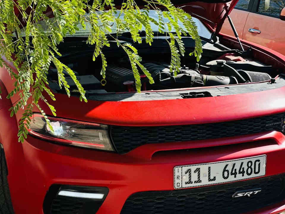 مساكم الله بالخير 
دوج جارجر وايد بدي اصل 2023 النداء الاخير 
محرك  V8 6.4 
حادثها بارد فقط بالجاملغ الخلفي
السيارة عليها اضافات هواية 
شوتة afe 
ستيرن فور جت 
ثروتل afe 
داخل احمر 
كراسي خزن ميموري 
ستيرن كهرباء 
تدفئة وتبريد المقاعد 
Led ززع متغير الالوان 
زرع عدسات 
سقف روز رويز 
تغليف طافي ppf يم جيو شيلد 
مكاني بغداد 
***********
