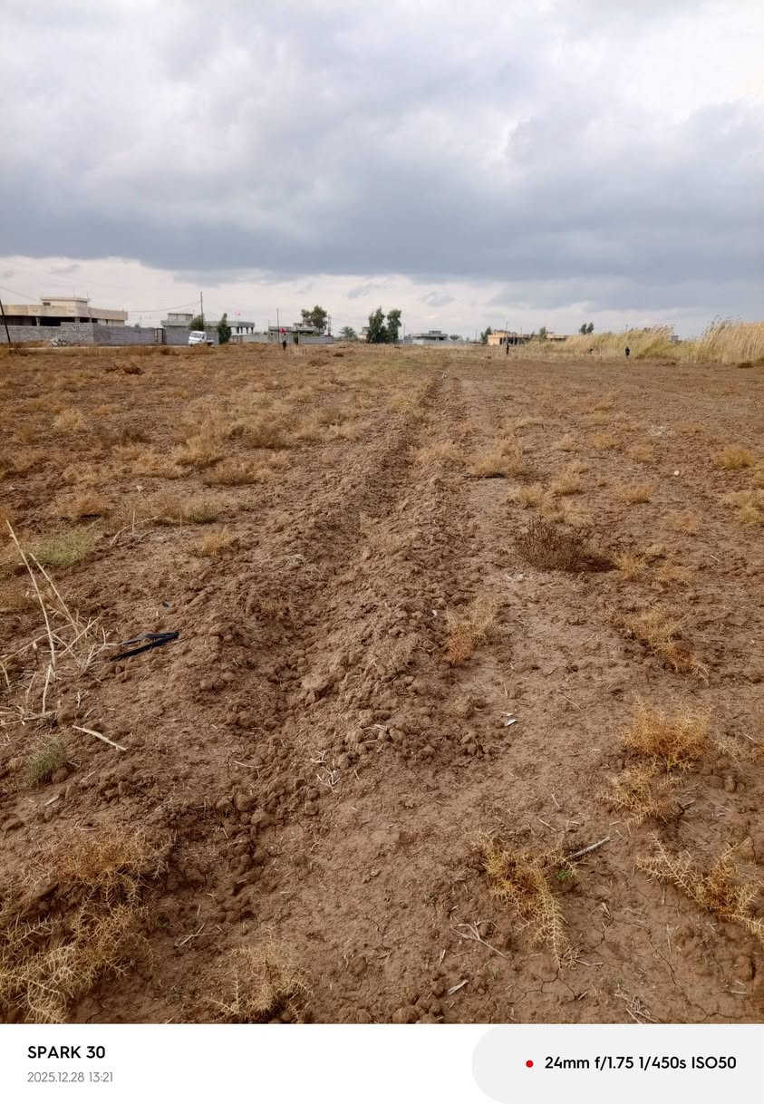 سلام عليكم ،،
ارض زراعيه للايجار مساحه سبعه دونم ،،
ومي وكهرباء موجود للاستفسار الاتصال على الرقم *********** مكان عشره تل عثمان ،
