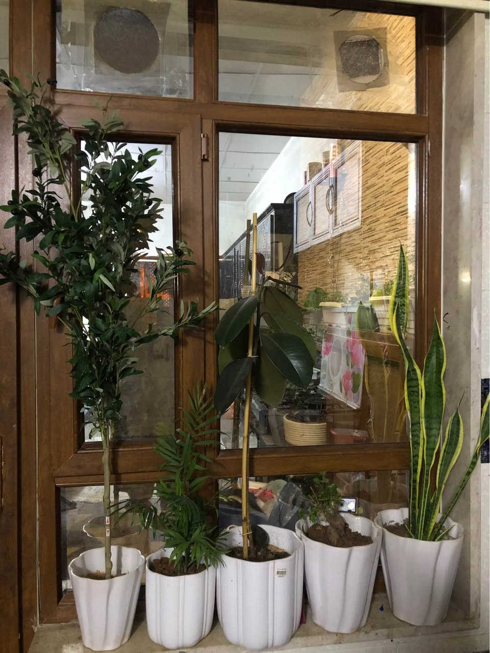 ٤ سنادين نباتات طبيعية (جلد النمر و بونساي و مطاط و شمدوريا)
سندان زيتون صناعي مترو نصف كلها ٨٠ الف قفل
العنوان اربيل روشنبيري أربيل, العراق


**إذا كنت صاحب هذا الإعلان وتريد حذفه لأي سبب، رجاءا أرسل رسالة إلى الدعم الفني**