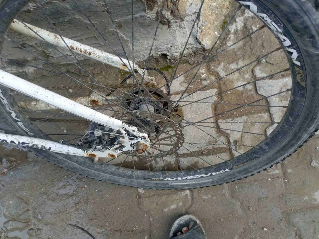 باسكل جبلي لبيع


**إذا كنت صاحب هذا الإعلان وتريد حذفه لأي سبب، رجاءا أرسل رسالة إلى الدعم الفني**