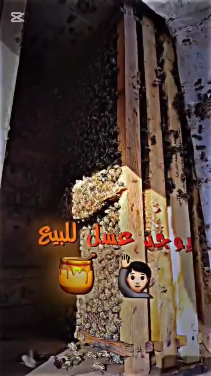 (الحمد لله صلاة وسلام على النبي محمد صلى الله عليه وسلم) (تبارك الرحمن الحمد لله اليوم من منحل أبو جنه العبيدي والعم ابو مسلم أستاد قاسم؟ العسل الطبيعي من منحنا)
(الحمد لله صلاة وسلام على النبي محمد صلى الله عليه وسلم) (تبارك الرحمن الحمد لله اليوم من منحل أبو جنه العبيدي والعم ابو مسلم أستاد قاسم؟ العسل الطبيعي من منحنا) الحب يشتري يتصل على الرقم ***********
