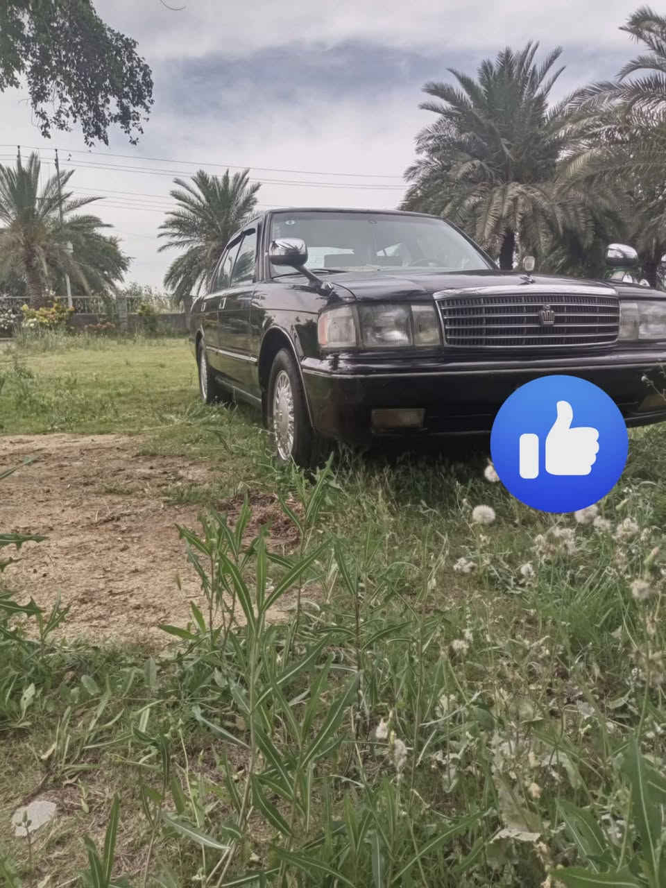 سلام عليكم
ارنب طويل مديل 94 ثلث قطع
رقم بصره نكليزي مشروع وطني 
سياره مكفوله من صبغ لعام ول كص ول عيب شرعي 
مكينه كير توني شادهن كفاله 
كهربيات كله جاهزه 
تخم تاير جديد 
حداديه امامي خلفي توني مشتغلهن 
منضومه تبريد كامله مال راس ثور بس كمبريسر بيه ضعف 
مكان سوق شيوخ 
سعر 65 
***********
