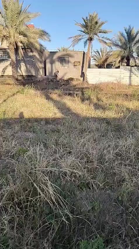 يالله أرض زراعيه للبيع طابو زراعي سند25المساحه 2000م الواجهة 40م تحويل أسهم مباشر تحتوي على نخيل متنوع  راض مخدومه سكن او مزرعه مسيجه خدمات كامله الموقع ممتاز كربلاء طويريج حي المستقبل قرب شارع الجدول واضح بالفيديو استفسار اكثر مراجعه مكتب الجمعيه للعقار مراسله او اتصل 
*********** 
***********
