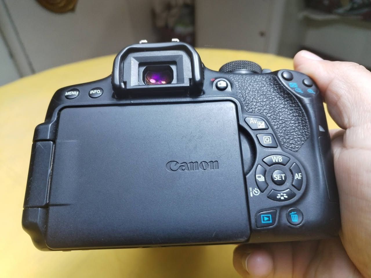 ✅السلام عليكم 📷🇮🇶
✅شباب كامره كانون 🇮🇶
✅750D📸
✅شاشه قلاب 📷🇮🇶
✅لمس 📷🇮🇶
✅واي فاي 📷🇮🇶
✅ملحقات الكامره 📷🇮🇶
✅عدسه 18.55 📷🇮🇶
✅حزام كتف 📷🇮🇶
✅شاحنه الاصليه 📷🇮🇶
✅بطاريه  📷🇮🇶
✅جنطة للكامره📷🇮🇶
✅ستفسار اكثر تفضلو 🇮🇶
✅خاص اوتصل 📷🇮🇶
✅*********** 📷🇮🇶
