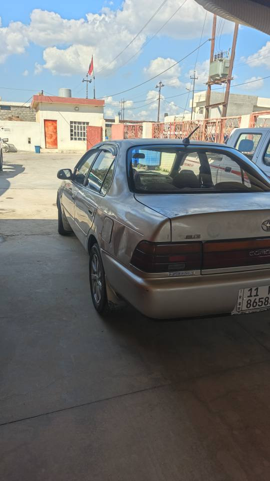 كورولا لون سلفري رقم بغداد صاحبه الشرعي بكركوك تحويل وكاله بكيفك .... 
***********
*********** كركوك, العراق
