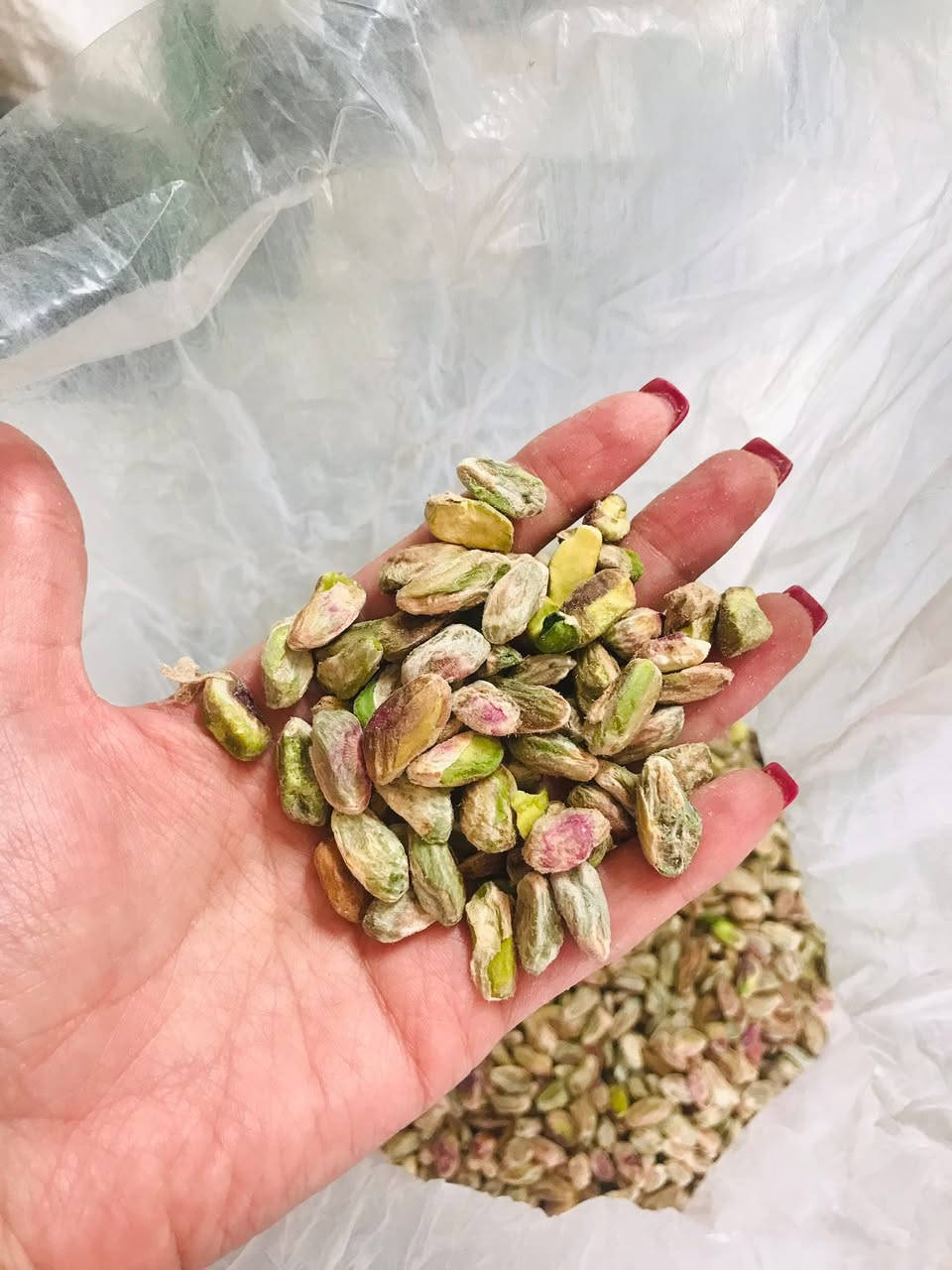 Wholesale sale of high quality Iranian pistachios and pistachio kernels

بيع بالجملة للفستق الإيراني عالي الجودة وحبوب الفستق

contact us in whatsapp :009809122886280


**إذا كنت صاحب هذا الإعلان وتريد حذفه لأي سبب، رجاءا أرسل رسالة إلى الدعم الفني**