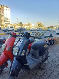 ماكس بوليسي • ماكس عدلة • سكنز جبلي