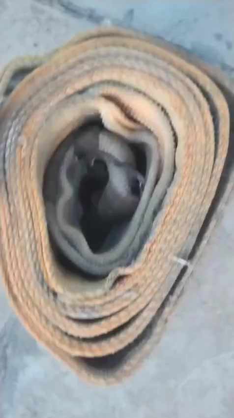 حبل قطعتين مال رافعة 10 طن نظيف مستعمل قليل للاتصال ***********
