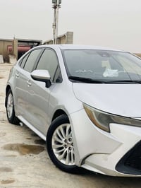 اطلع على بغداد الفجر بل4 اليروح او محتاج شي 07801302733