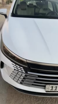 فول نضافه • فول كفالة • ماشيه قليل