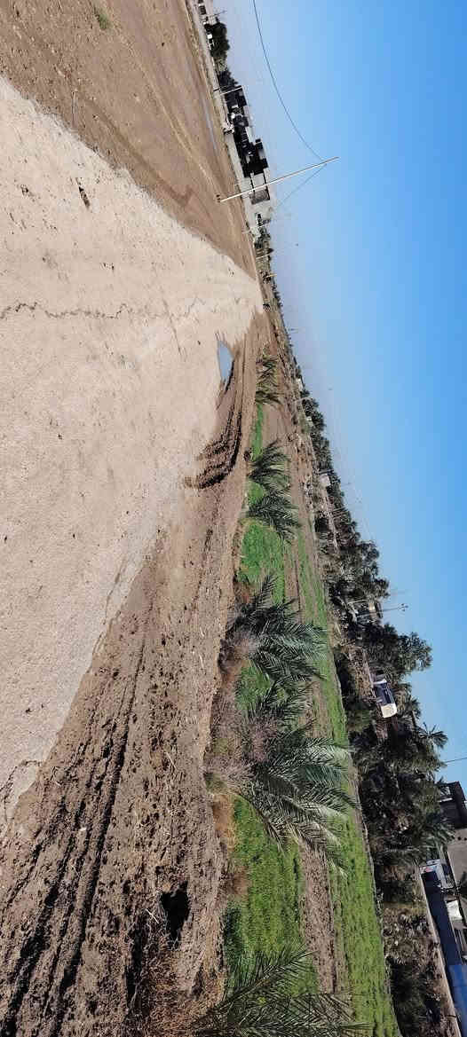 سلام عليكم قطعه ارض للبيع مساحته ما يقارب 1700متر يوجد فيها ماء وكهرباء وتبليط المكان خلف جامعه بابل بل هميسانه الثانيه نوع الارض (اصلاح زراعي) اكاتبك مكاتبه خارجه اتكفل اب اي شي ***********
