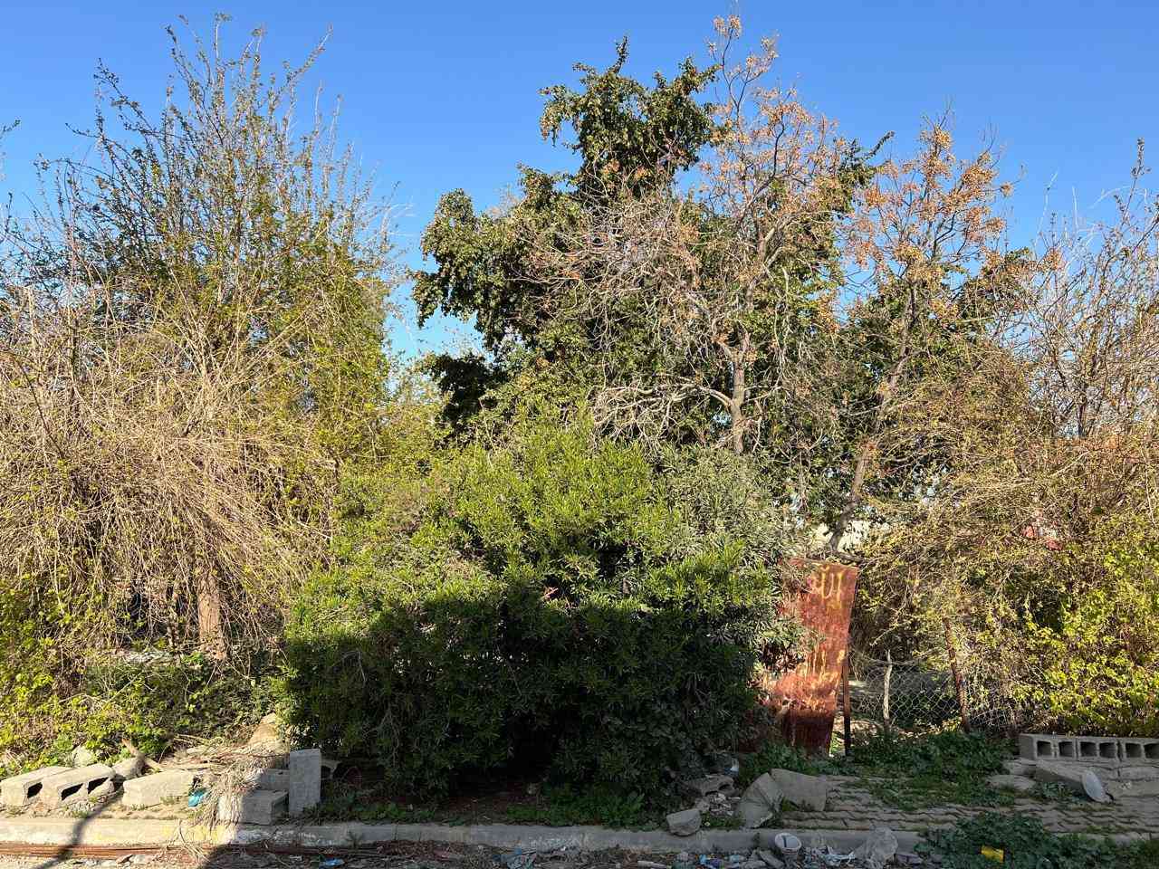 هيكله للبيع طابو صرف المساحة كل هيكل ١٣٠ م واجهة ٥م العنوان الأسرى قرب مدرسة الصينيه ماقابل حديقة للاستفسار الاتصال على الرقم *********** او خاص
