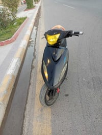 ماكس • نضيفه • ناصريه