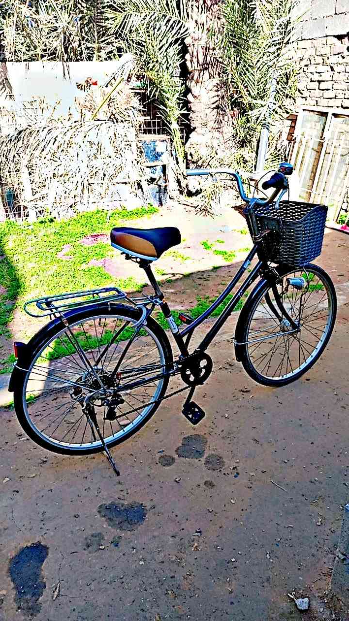 السلام عليكم
بايسكل نضيف الحجم 26 اللون اسود بلاد 
تايرات وجوابه جدد وياله لشه عدلات مطابقات مختمات
بداله وحساس شغالات 
السعر خاص 
العنوان بعقوبة التحرير 
الشراي يجي خاص ودلل 
***********
