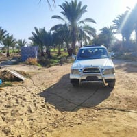 بيكاب • ٢٠٠٦ • رقم بابل