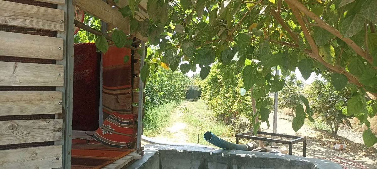 سلام عليكم يتوفر دونم ونص طابو سند 25 تحويل ثاني يوم بسم المشتري العنوان المدائن الجعاره شارع سيد علي 3 
كافة الخدمات متوفر تفاصيل الاتصال وبيك خير ودلل بدارة أبو فهد العيساوي ***********
