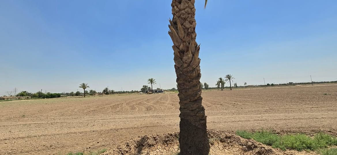دوانم للبيع طابو ملك صرف العنوان بغداد مشروع الوحده بغداد, العراق


**إذا كنت صاحب هذا الإعلان وتريد حذفه لأي سبب، رجاءا أرسل رسالة إلى الدعم الفني**