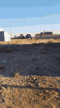 الفلوجه الجغيفي الثانية • ١٥٠م • طابو زراعي