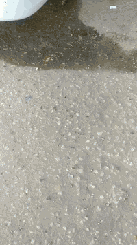 السلام عليكم جنبي ناصي للبيع مكفوله كفاله عامه موديل 14 رقم القادسيه مداور ثاني يوم سعر88 وبيه مجال أو مراوس جنبي عالي مكفولة رقم الهاتف ***********
