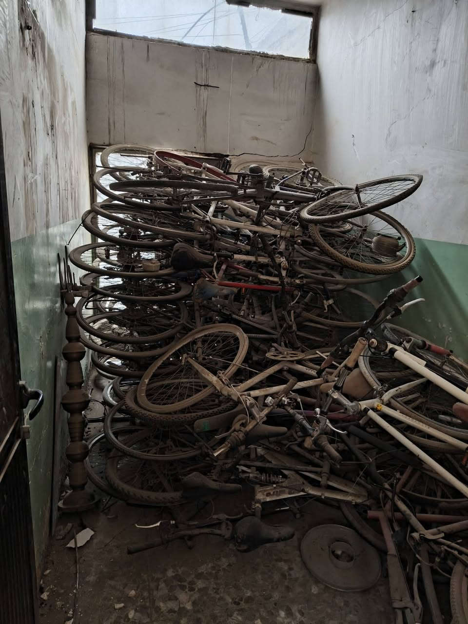 السلام عليكم  ... 
للبيع بايسكلات حاويه جملة ( فافون + حديد + ماركات) 
( c700 -  كيمو )
للأستفسار عل رقم  ***********
العنوان بغداد الدورة
