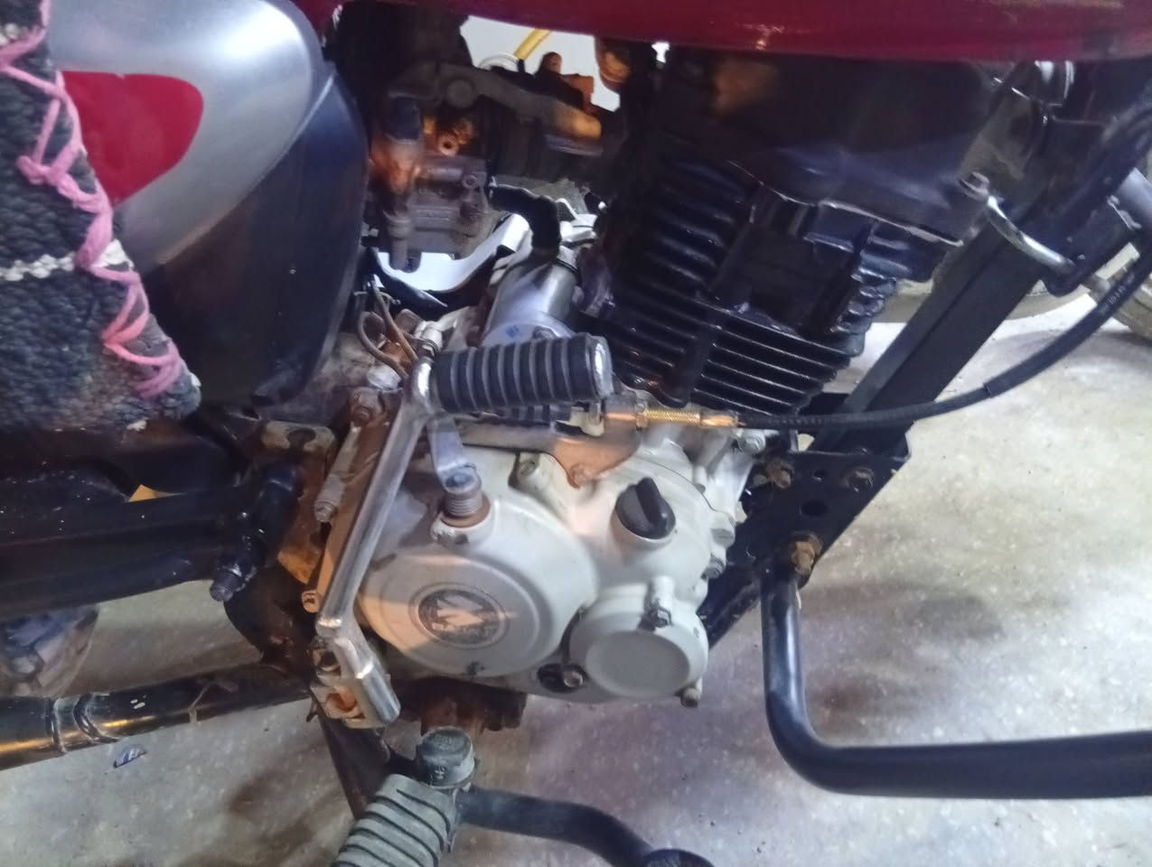 السعر ١١٠٠


**إذا كنت صاحب هذا الإعلان وتريد حذفه لأي سبب، رجاءا أرسل رسالة إلى الدعم الفني**