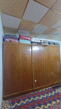 كنتور • تسكام 275 • نجف ميلاد