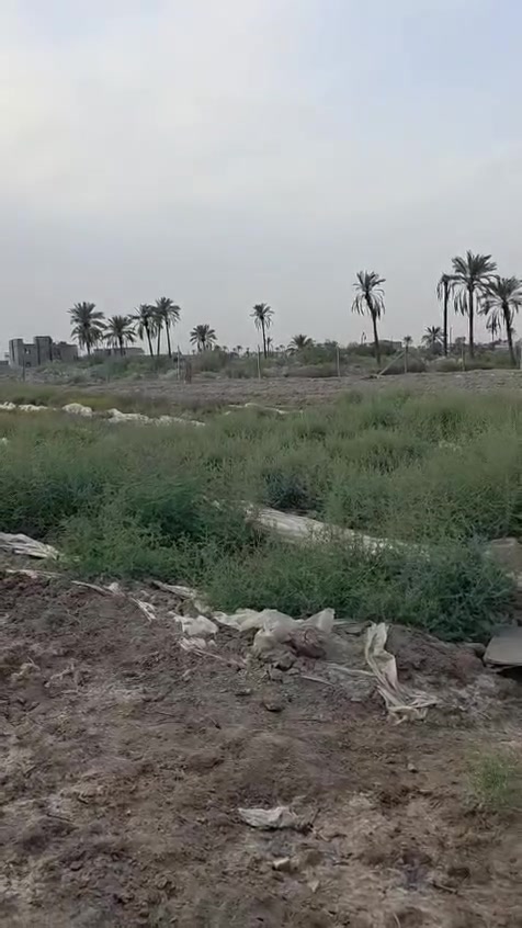 الموقع ابو الخصيب العوجه 
الاستفسار علارقم ***********

