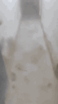 الديوانم • ١٠٠م • دار للبيع