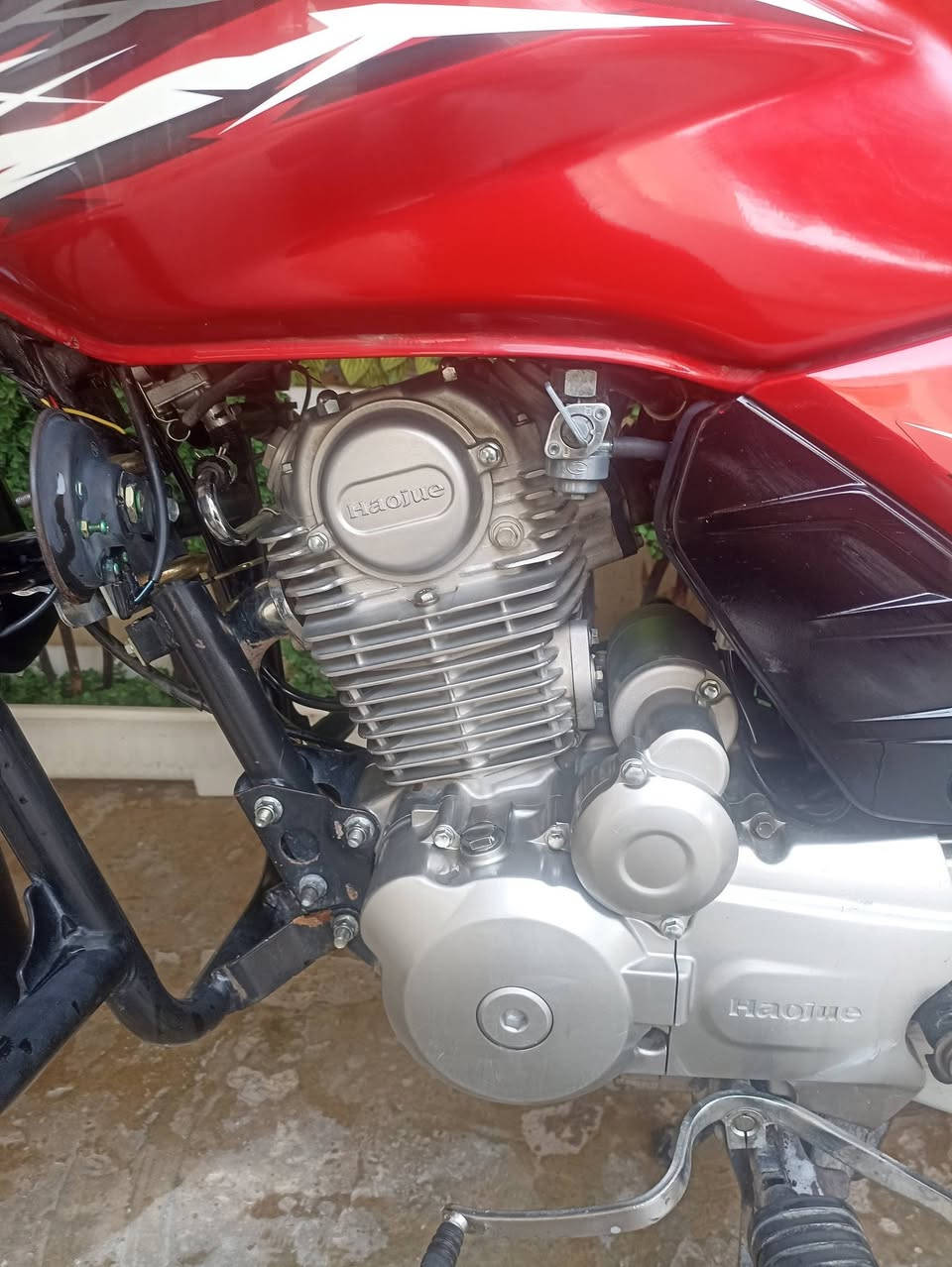 دراجه هاوجي  موديل ٢٠٢٣
محرك كبس مكفول 
مسجل  سنويه و لوحات شرط تحويل 
١٣ ورقه وبي مجال للشراي 
ملاحظه مو شراي لتعبني الله يخليك دراجه ما بيه نقص برغي تحياتي للجميع 📌


**إذا كنت صاحب هذا الإعلان وتريد حذفه لأي سبب، رجاءا أرسل رسالة إلى الدعم الفني**