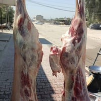 لحم غنم • كيلو • كمية محدودة