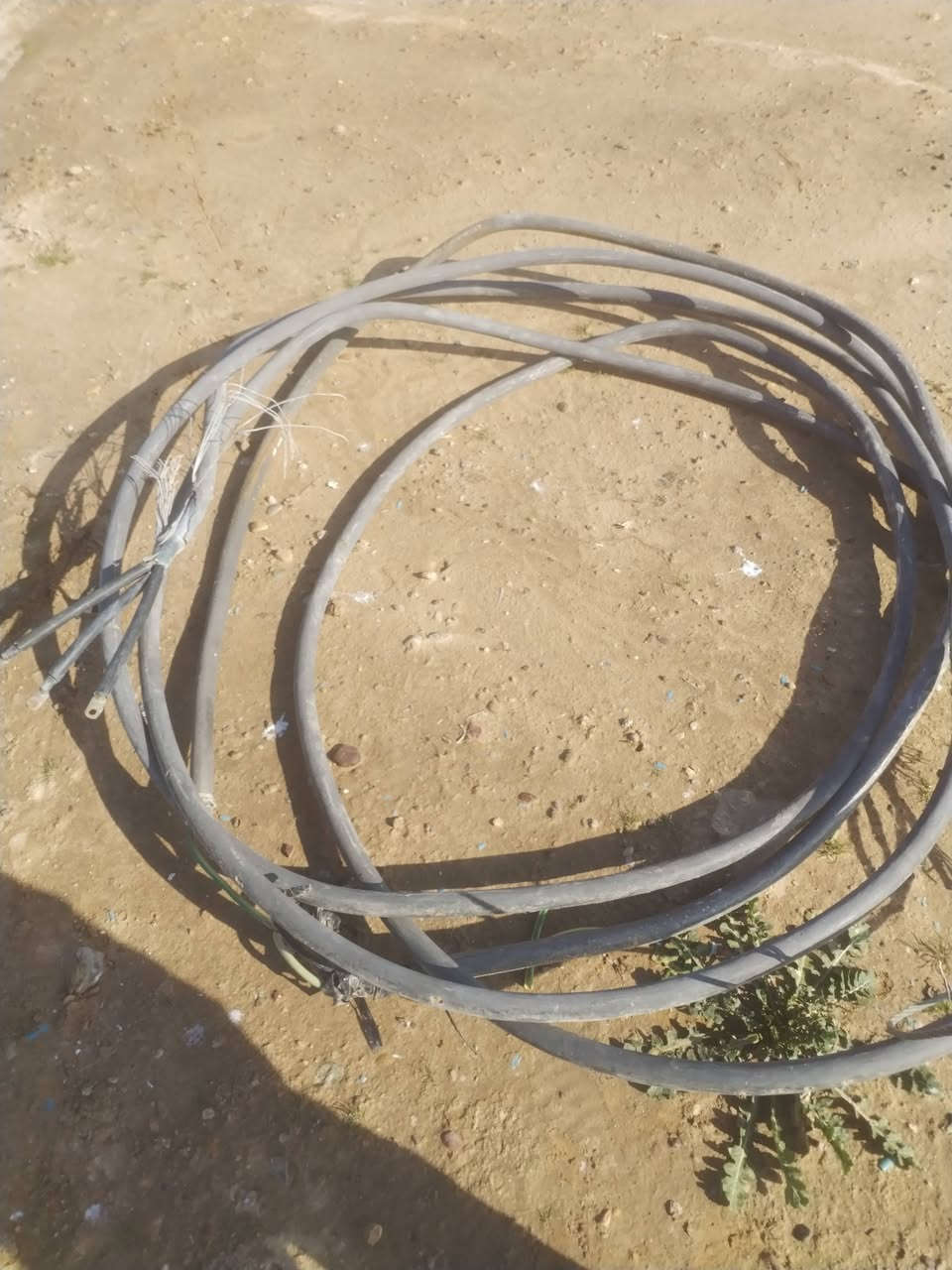 السلام عليكم كيبل ابو 16 نحاس طوله 18 متر للبيع اليريده يتصل عل هاذ ارقم ***********
