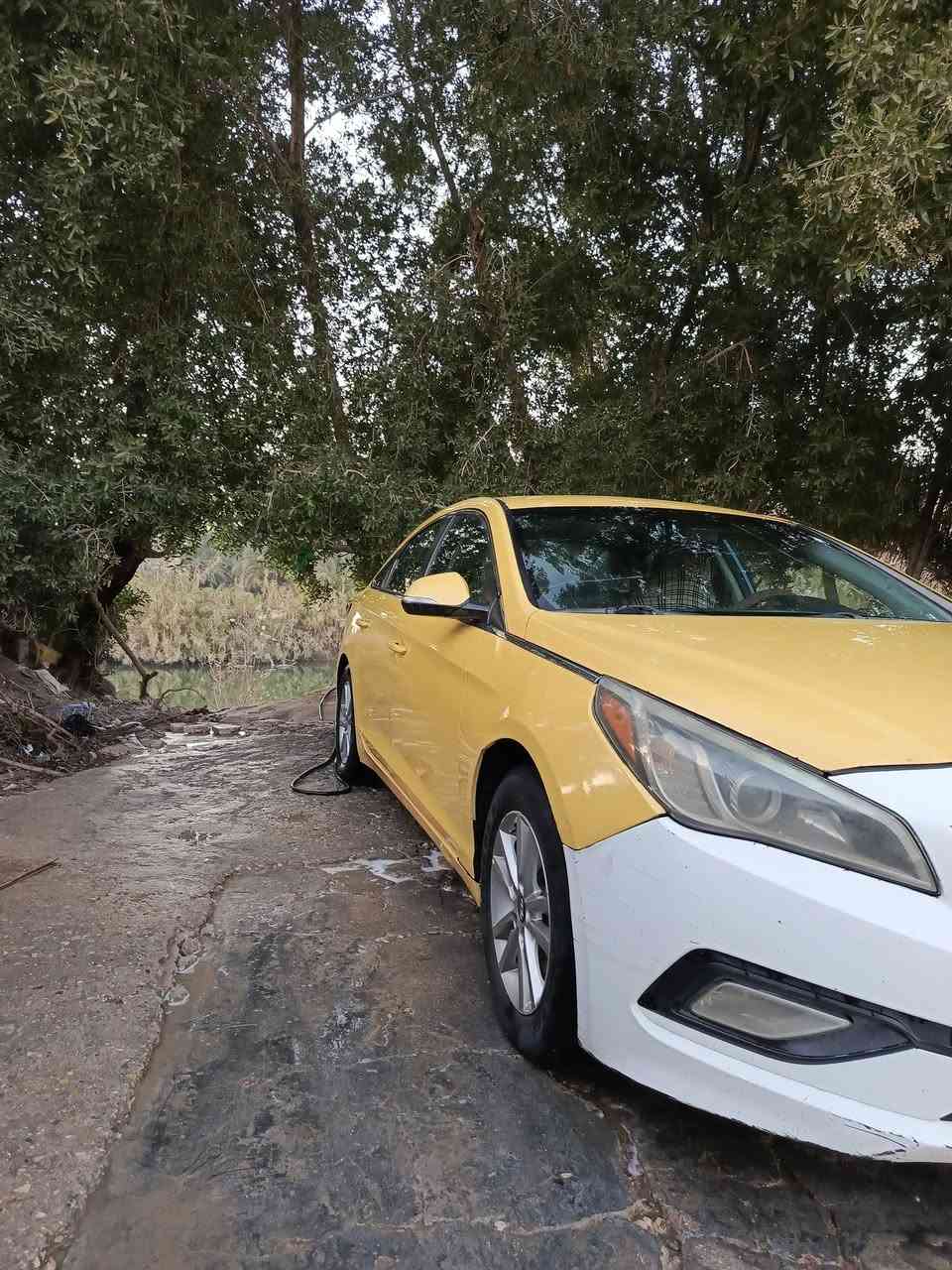 يالله سلام عليكم سوناته مديل15امريكي ضررها تبديل بنيد كير مكينه مكفوله سياره كفاله عامه من عدا البنيد  تخم تير جديد سنويه ال2027 بسمي  مصفره هيئه وغرامات سياره خير من الله ما نقصه شي  مكان سياره دونيه غماس سعر 115وبيه مجال رقم 📱 ***********
