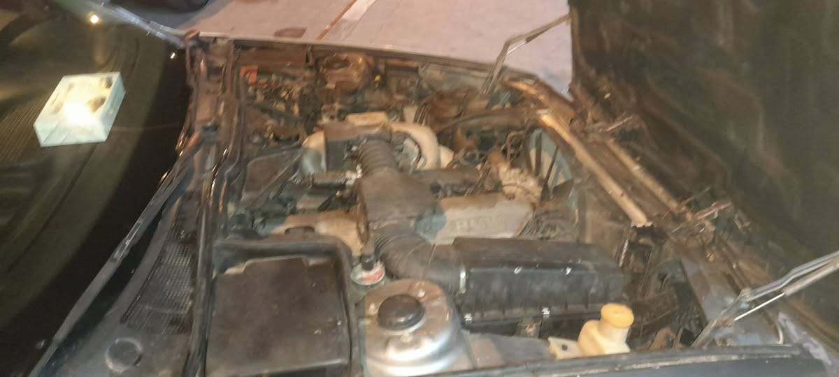 للبيع بي ام حجم 735 بغدادموديل 91 رقم ابغداد مشروع وطني سنويه جديده سعر 40 $ موبايل*********** تحويل ثاني يوم  سنوية مجددة هزة جديده   محرك وكير مكفول لا ضربه ولا تبديل  ولا خياس  حدادية امامي خلفي نضيفه كهربائيات كله شغالة  عله بلادهه تخم تاير ويل جديد  دواخل نظيفه. تدفئة تبريد شغال مكاني بصره
