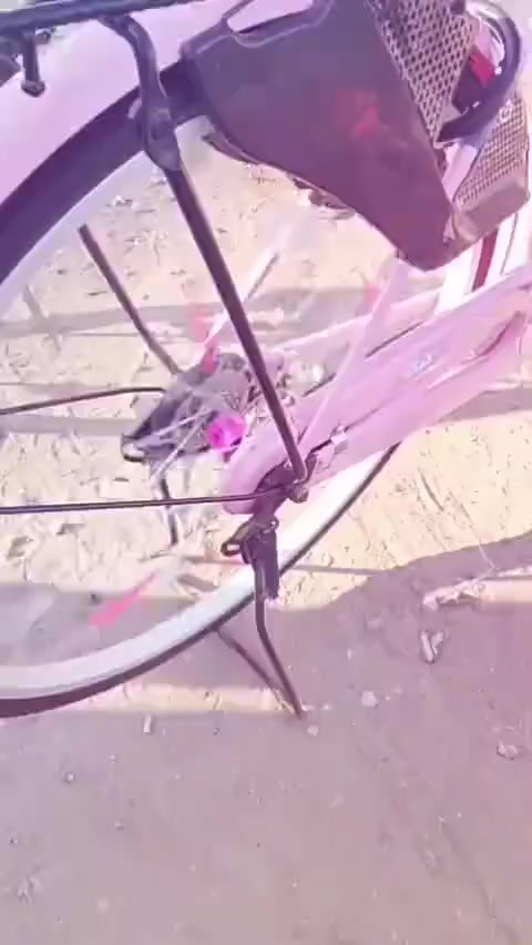 للبيع غراضه نضافه فول زلوغ مال حاويه ب ماشه حته مايبينن شراي خاص👍🏻🔥


**إذا كنت صاحب هذا الإعلان وتريد حذفه لأي سبب، رجاءا أرسل رسالة إلى الدعم الفني**