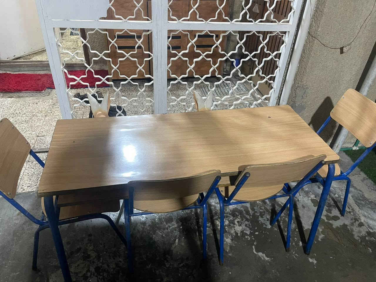 أغراض للبيع
ميز دراسي للأطفال قوي كلش ... ٢٥ الف مع اربع كراسي
كاربد  قطعتين القطعه الأولى 
٧ أمتار ونص ب٣ أمتار  كلش جبير
والقطعه الثانيه الطول ٤ أمتار والعرض ٣ أمتار سعر القطعتين ٧٠ الف
 واذا منفردات الجبيره ب٤٠ الأصغر ٣٠ الف 
خلاط صيني امتياز ألماني ممستعمل بالباكيت ١٥ الف

العنوان بغداد البنوك


**إذا كنت صاحب هذا الإعلان وتريد حذفه لأي سبب، رجاءا أرسل رسالة إلى الدعم الفني**