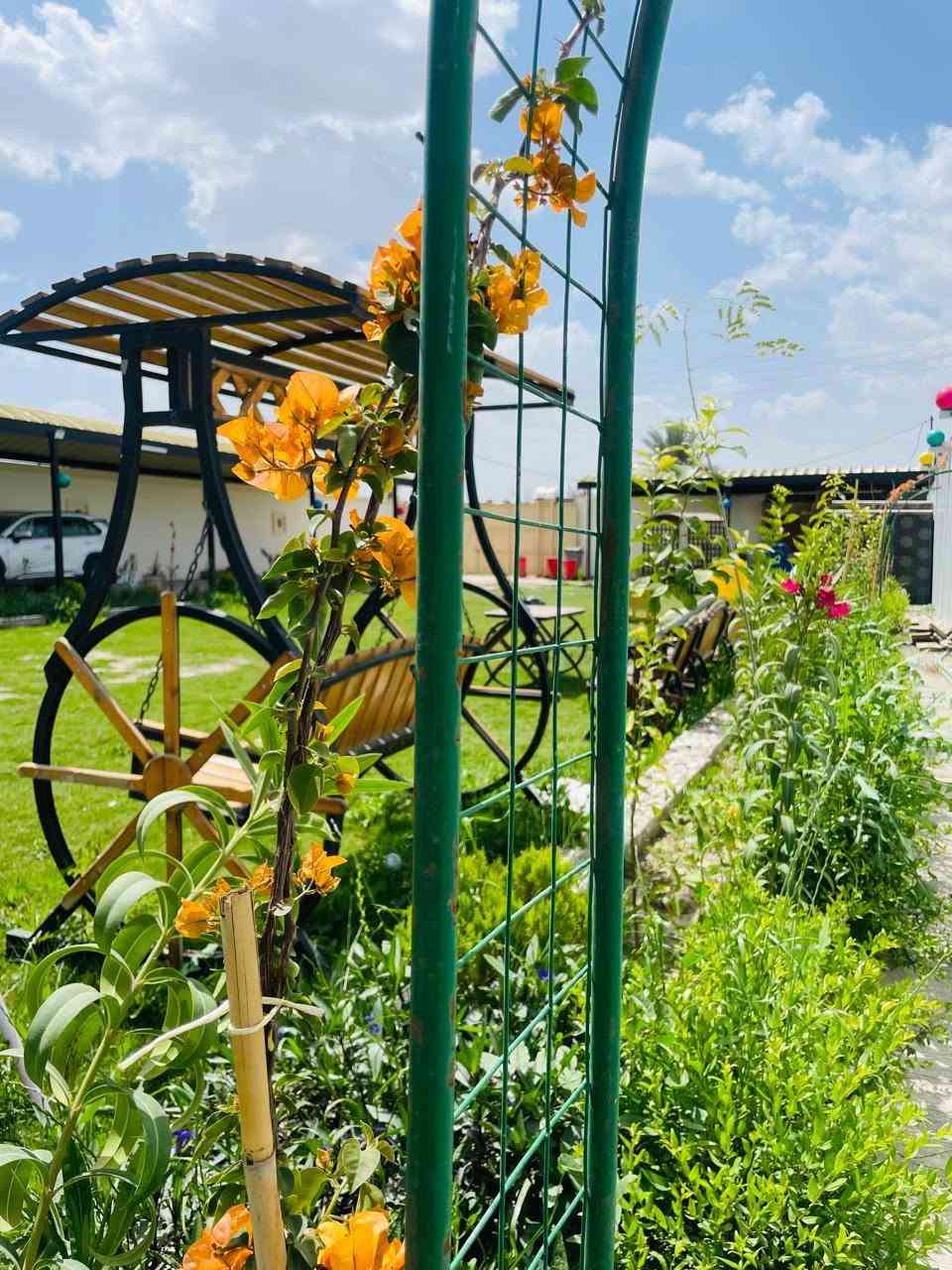 🌿 مزرعة ليال للتأجير 🌿
البوعيثة
استمتعوا بأجمل الأوقات وسط الطبيعة والهدوء 🌳✨
جلسات مريحة • مساحات خضراء واسعة • أجواء عائلية مميزة
مناسبة للمناسبات والتجمعات العائلية.
📞 للحجز والاستفسار مراسلتنا على الصفحة
***********
أهلًا وسهلًا بكم في مزرعة ليال 💚
