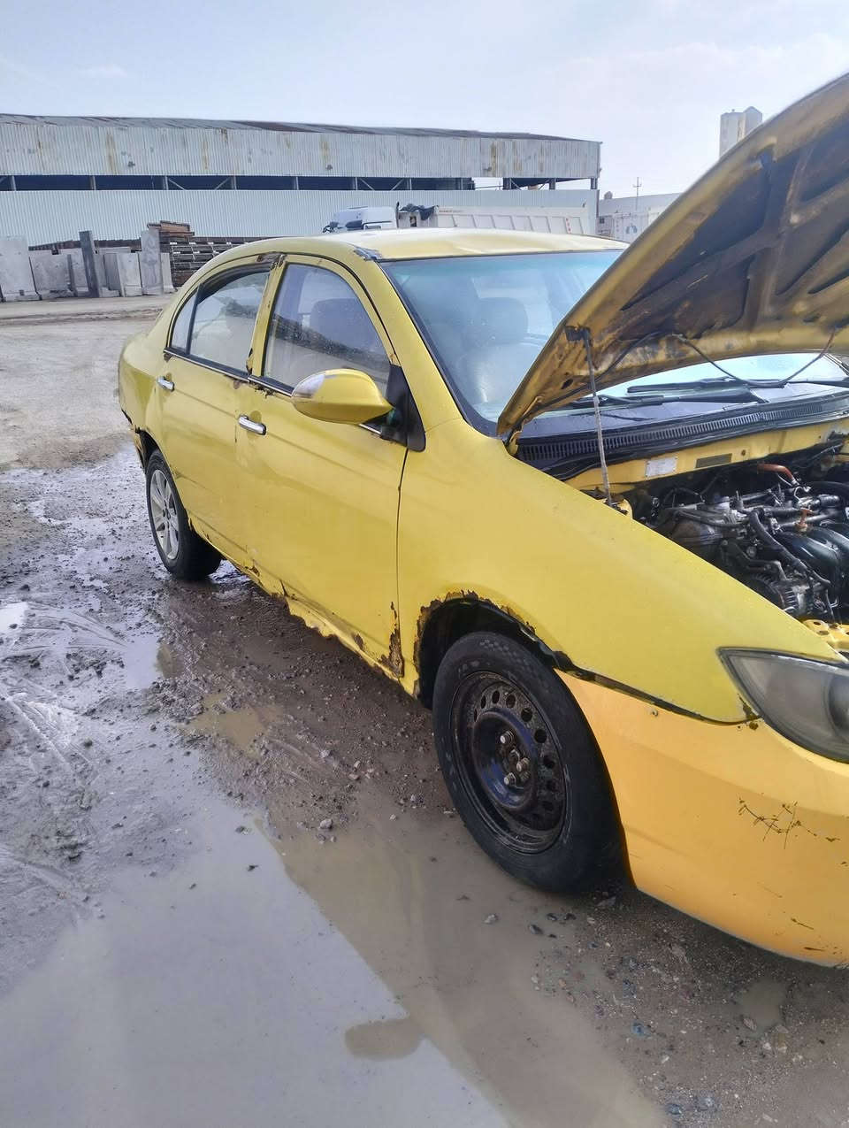 شيري كوين كيلو جير بيكاتو حداده خير من الله رقم صدامي سنويه عاد بدون تحويل سعر 8 بصره عنوان
***********
