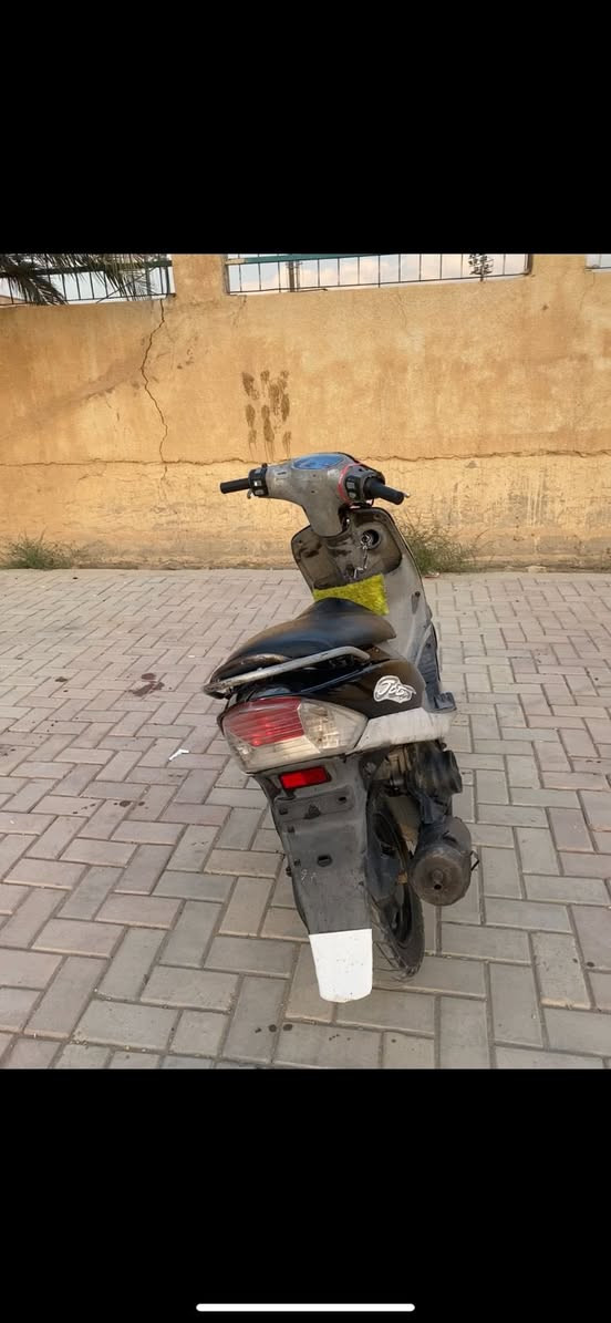 ماكس منغولي للبيع السعر خاص والاتصال ***********
